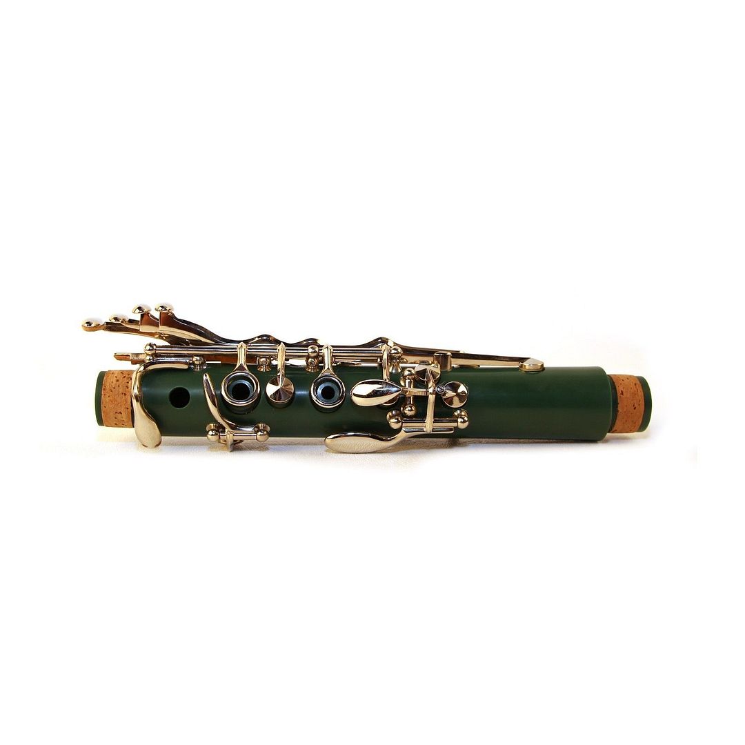 NEW Rossetti Key of Bb Student Band B Flat GREEN with Deluxe